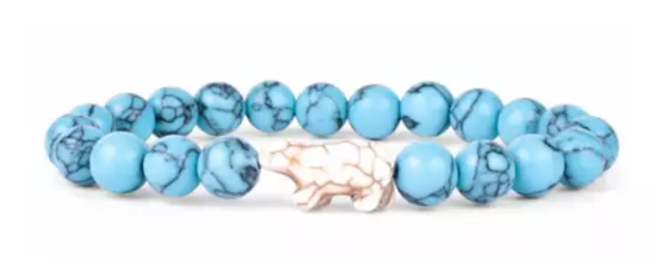 THE VENTURE BRACELET  - Each bracelet tracks a real polar bear