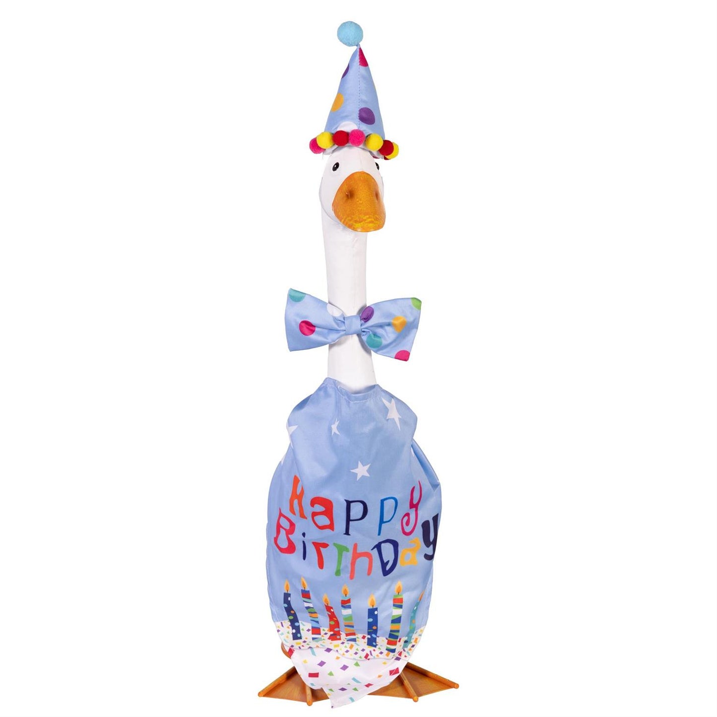 Porch Goose Outfit, Birthday Boy