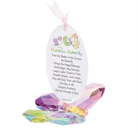 Rainbow Butterfly